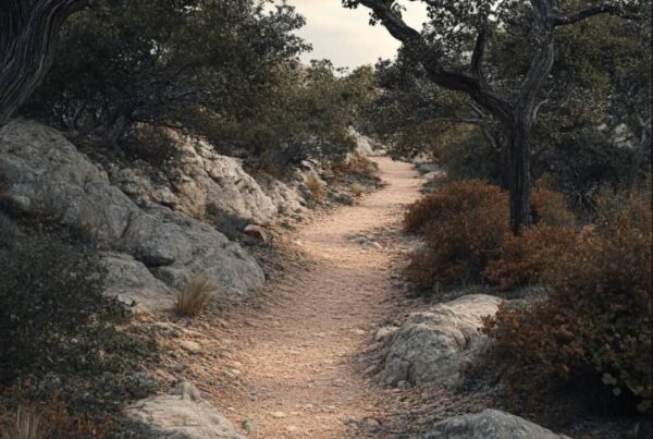 A pathway made of stabilized decomposed granite winds through a natural park with oak trees