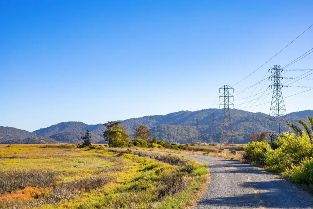 Gravel access road illustrating a common application for minus crushed rock.