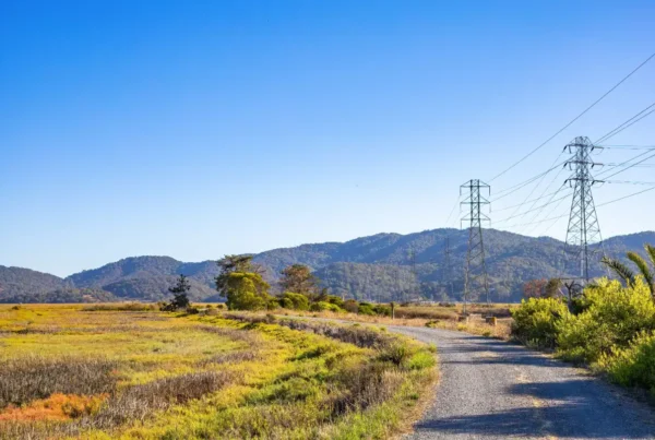 Gravel access road illustrating a common application for minus crushed rock.
